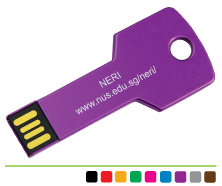 Metal Key USB