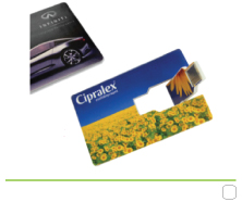 Rose Bay Card USBs